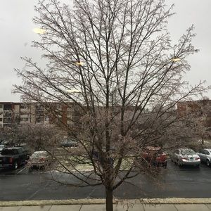 Meet your Posher, Joya